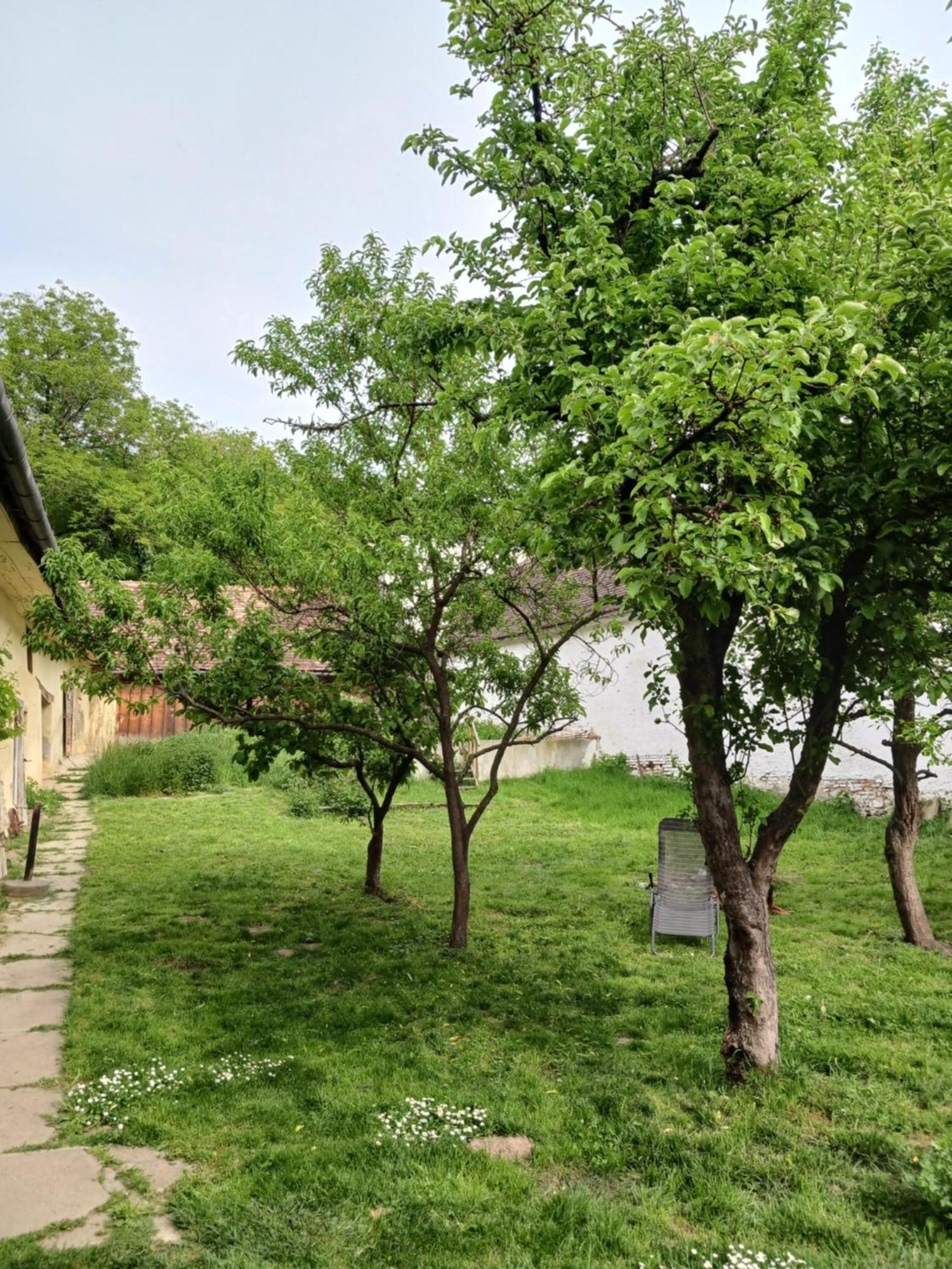 Casa Arthur Richis Richisu Exterior foto